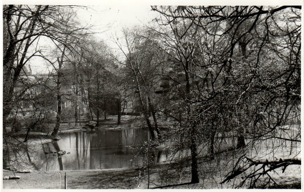 Pond in Zeromski's Park Fall 1971 by JohnnyArtist