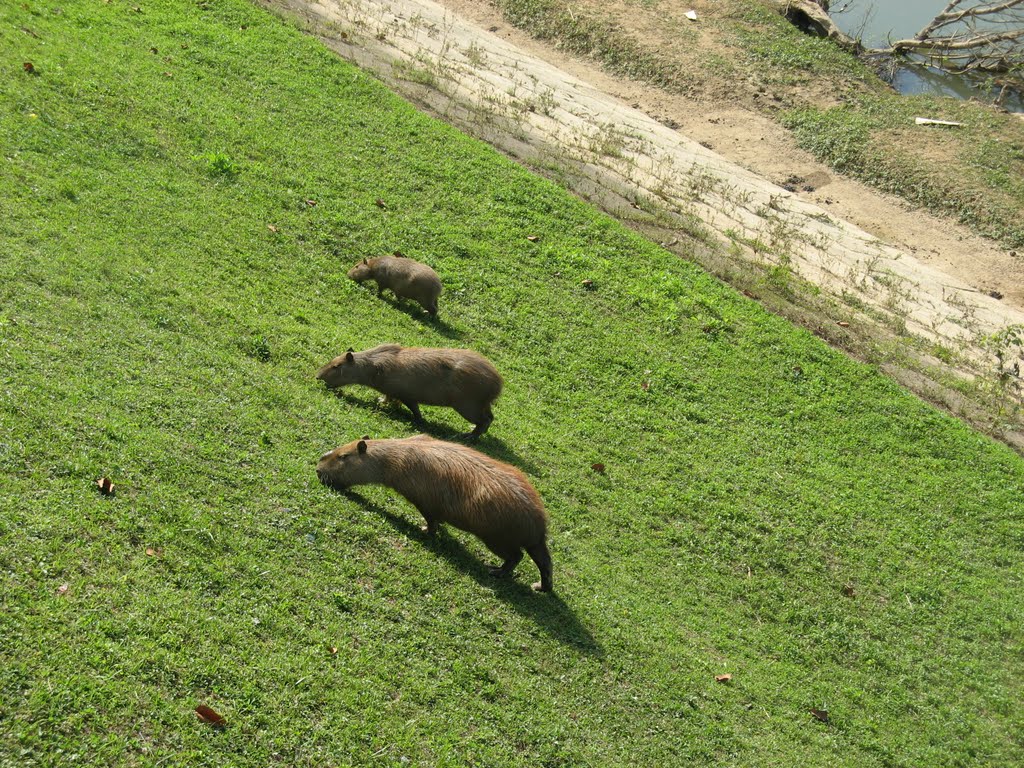 Blumenau 2010 by resedagboken.cc