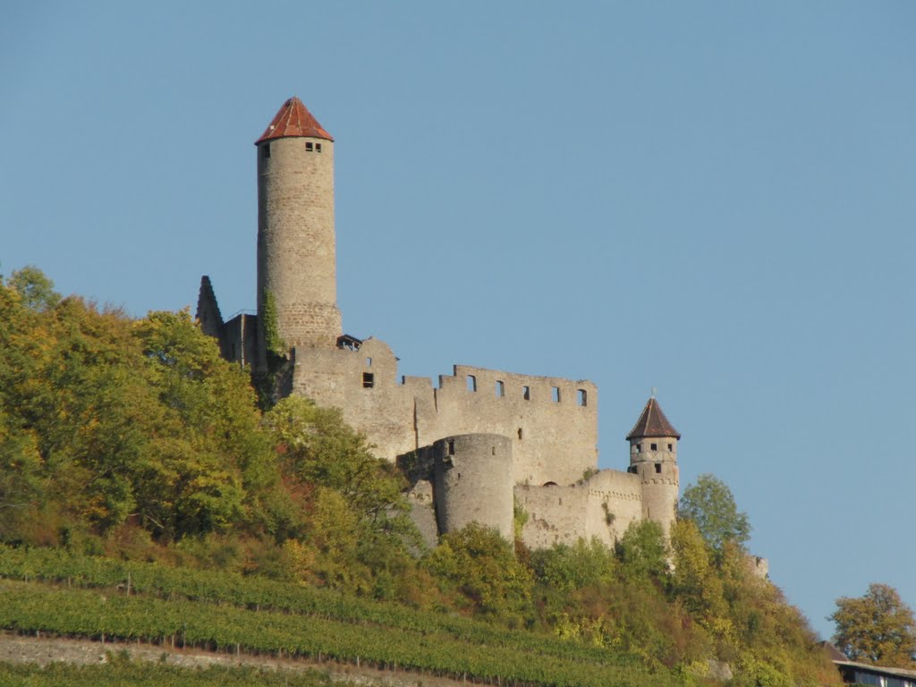 Burg Hornberg am Neckar by Herbert Braun