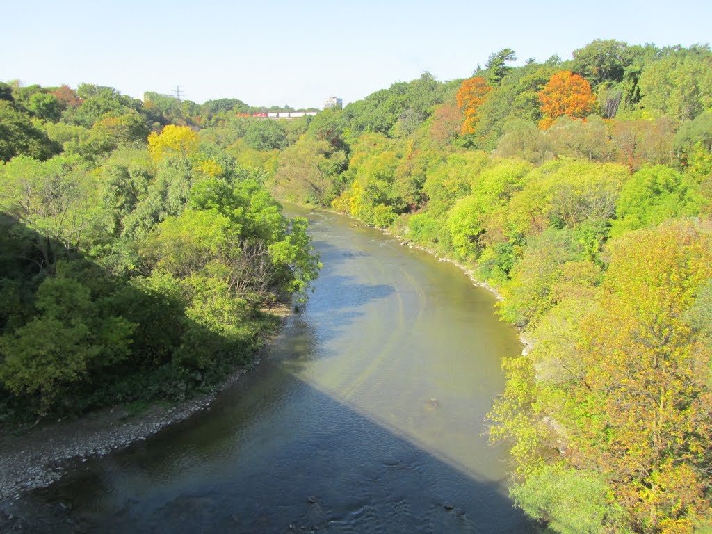 Fall Colors Along Humber River by JLourenco