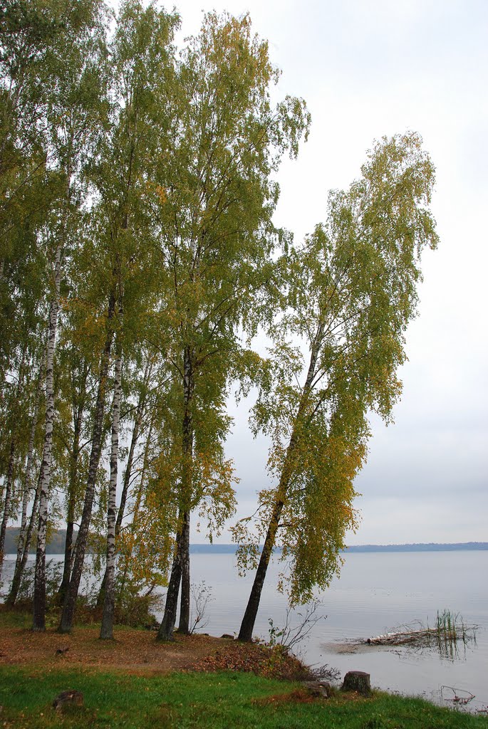 Kaunas lagoon- autumn by Renatorius (Reno)