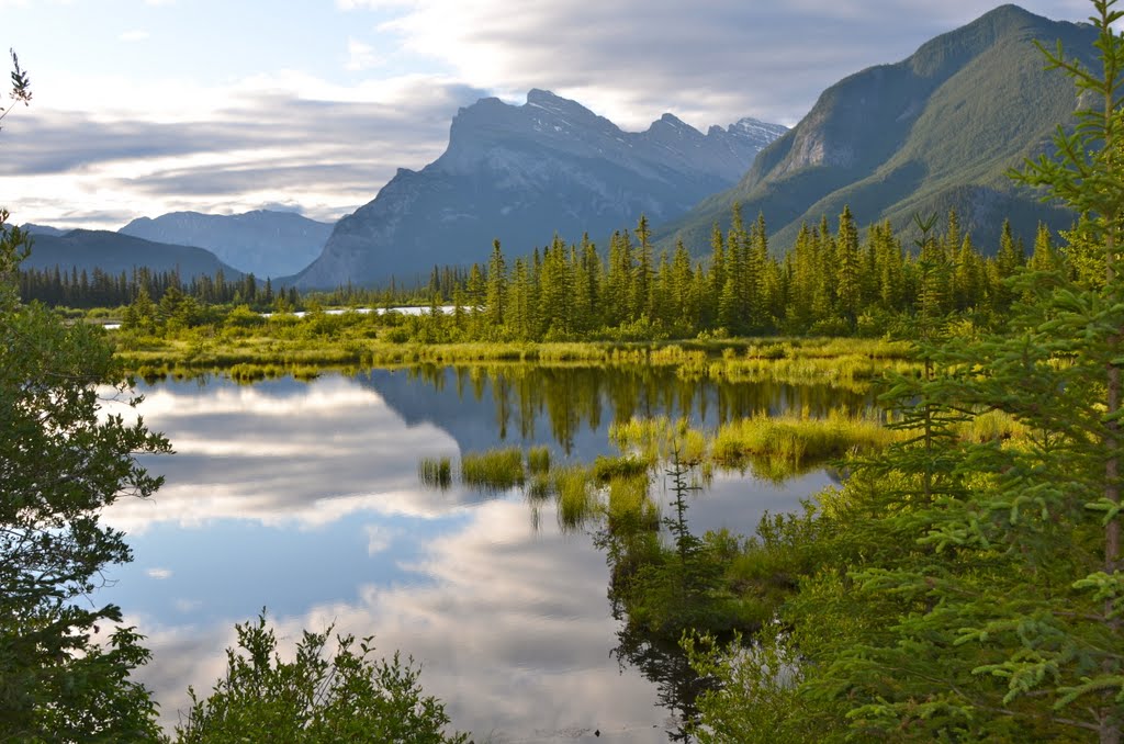 Fall over Vermillions Lakes, Banff by Jack Borno