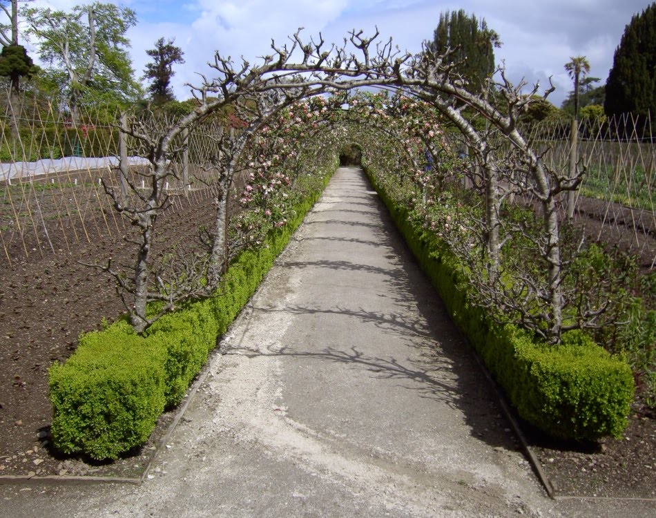 The Lost Gardens Of Haligan by Terry Gilley