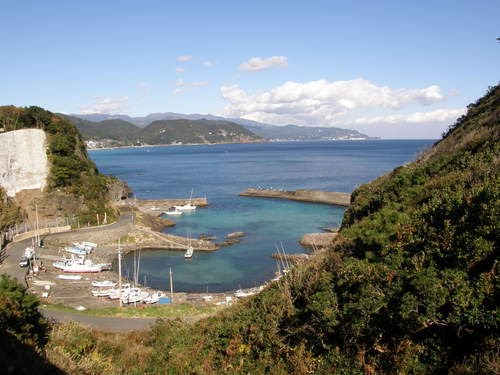 三穂ヶ崎　izu shimoda shirahama by www.izurainbow.com