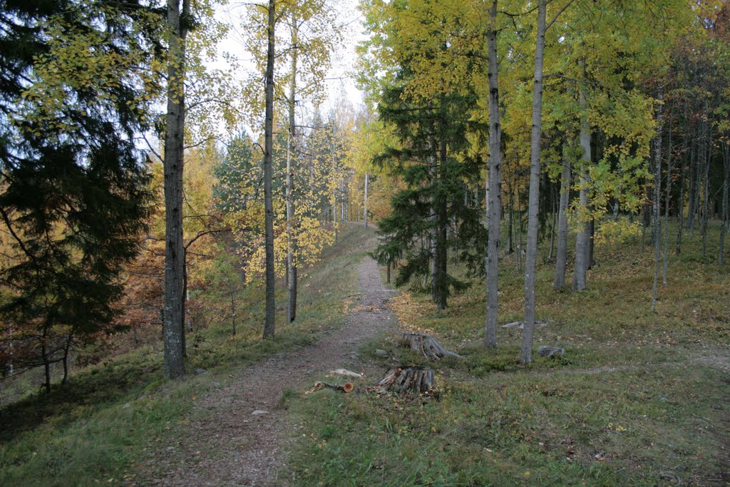 Sääksmäki, Rapola, Voipaala, Esker Rapolanharju, Top, Pre Medieval Castle Hill, 9 October 2011 by Johanan Järvinen