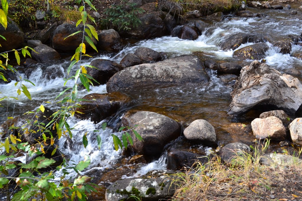 Geneva Creek at Guanella Pass road near to Hwy 285 -2011- by GSZENDRODI