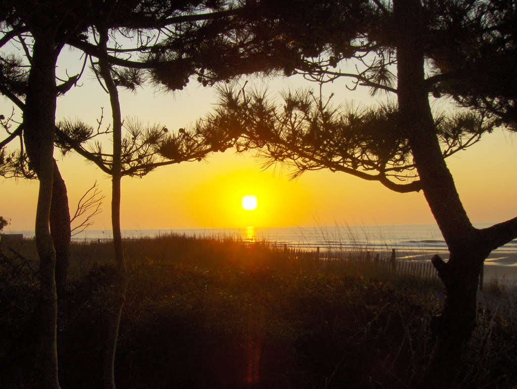 Sunrise Myrtle Beach, SC by Robert R