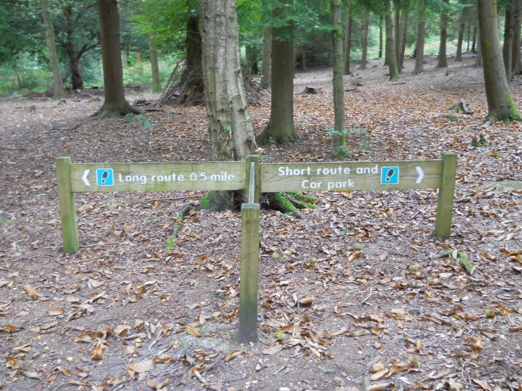 The Alice Holt wooden signposts by Robert'sGoogleEarthP…