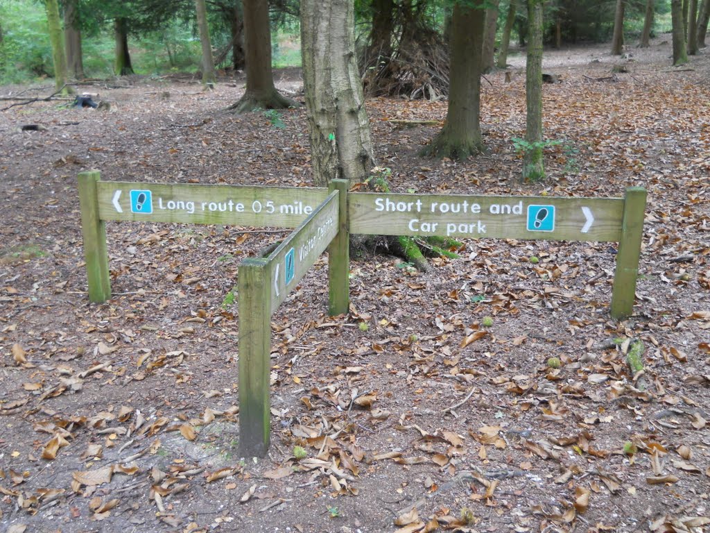 The Alice Holt wooden signposts, on the right by Robert'sGoogleEarthP…