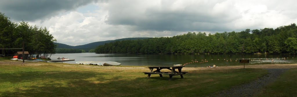 Mongaup Pond State Park in The Catskills Livingston Manor, NY by Robert Richards