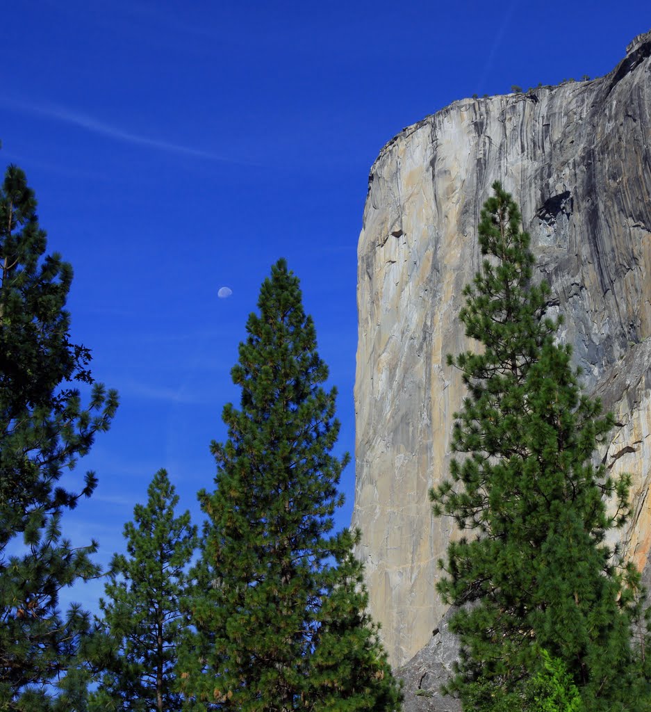 El Capitain, Yosemite Valley, Yosemite National Park, California by Richard Ryer