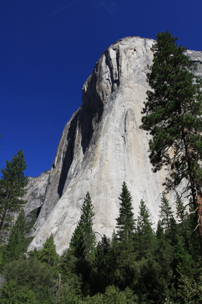 El Capitain, Yosemite Valley, Yosemite National Park, California by Richard Ryer