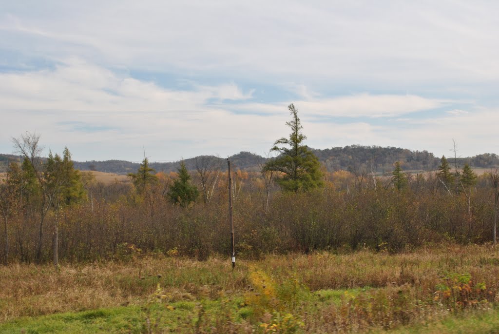 Tamarack Creek State Wildlife Area, Trempealeau County, WI by Aaron Carlson