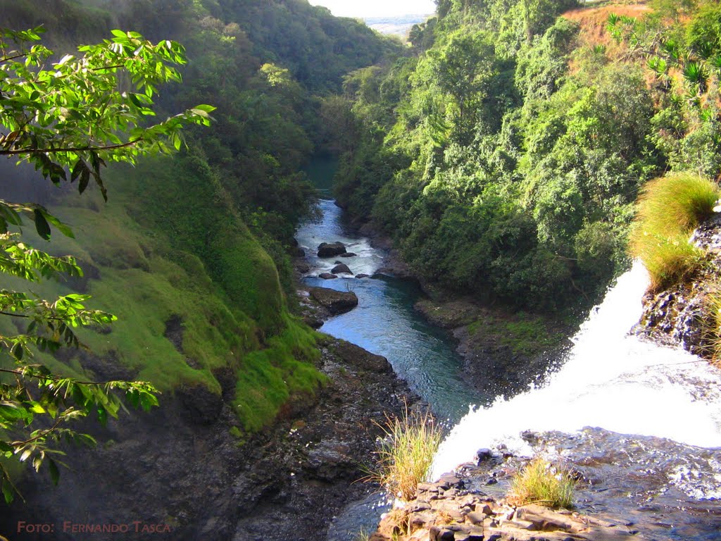 Cachoeira 3 by Fernando Tasca