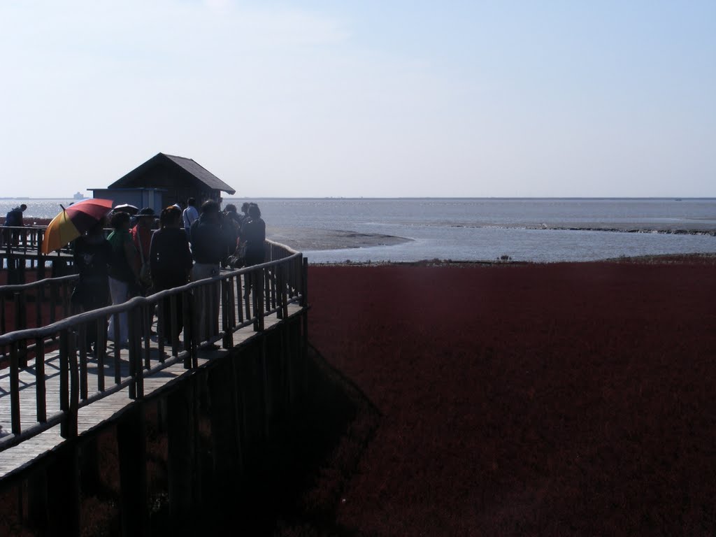 Panjin Red Beach Nature Reserve, China by Derek Harkness