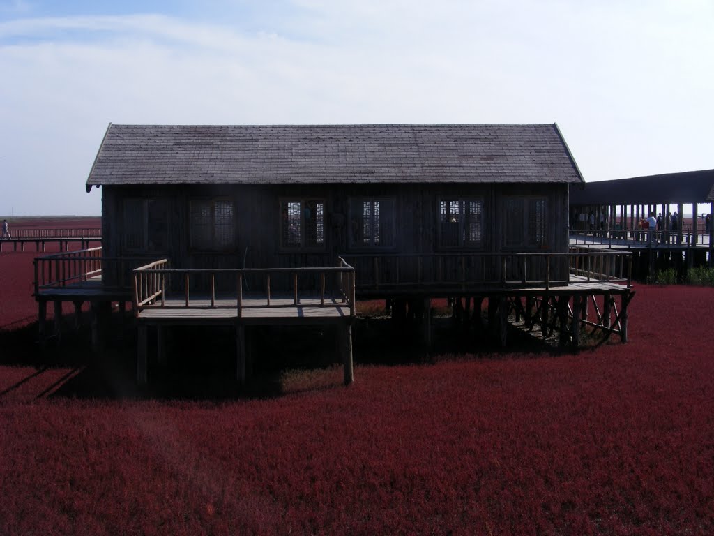 Panjin Red Beach Nature Reserve, China by Derek Harkness