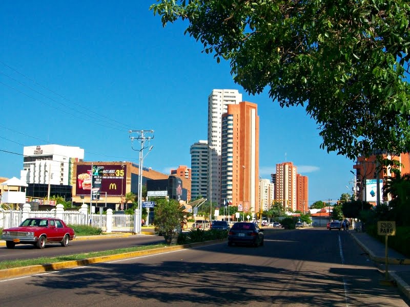 Avenida El Milagro by DeividT