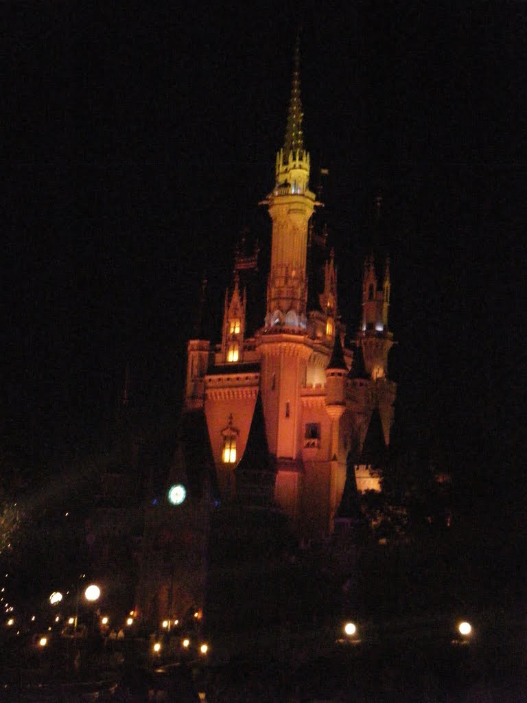 The Cinderella castle of rainy night by Taka S