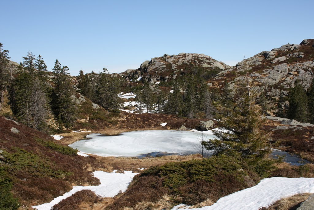 A beautiful tiny pond by Mona Lygre