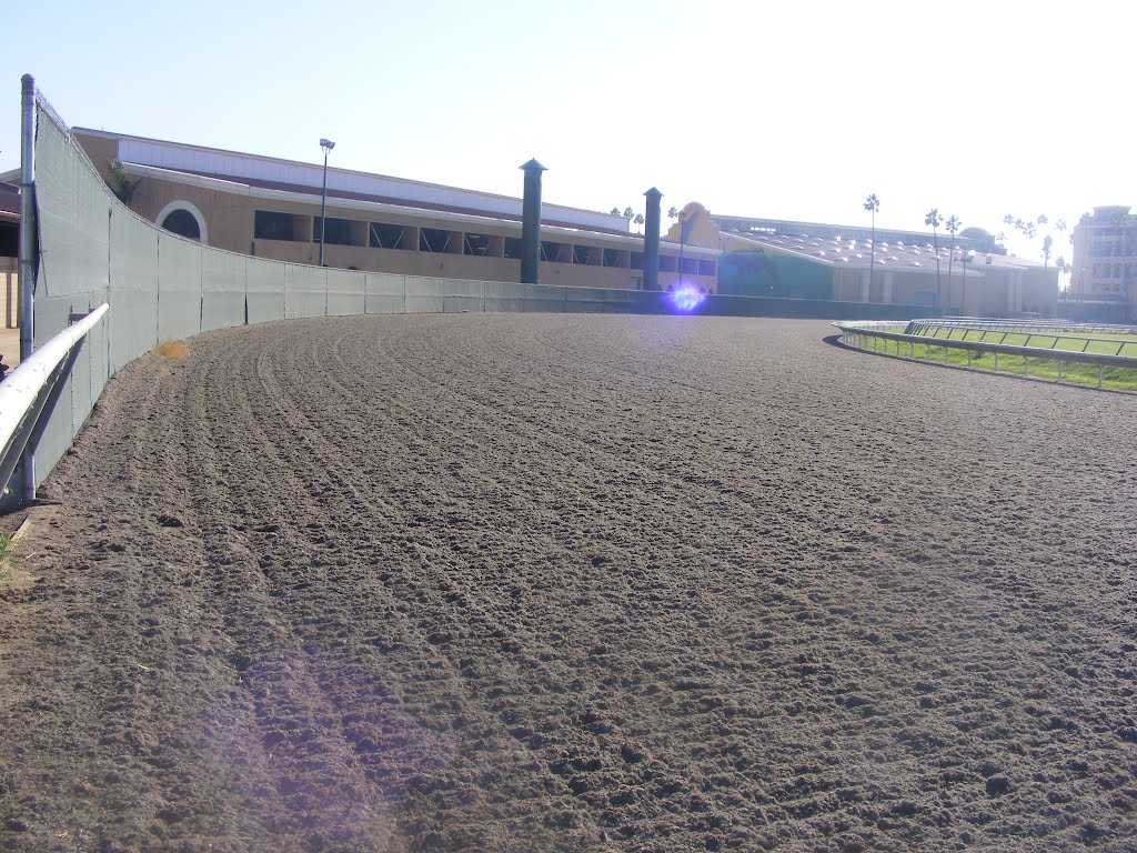 Del Mar Race Track by Richard Tamboli