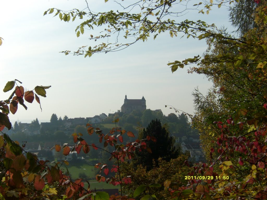 Kath.Kirche-St.Peter-Petersberg (Lioba) by evchen645