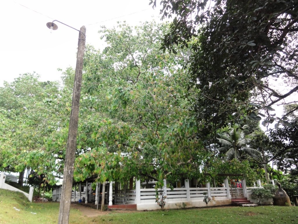 Kalapaluwawa, Sri Lanka by Senanayaka Bandara