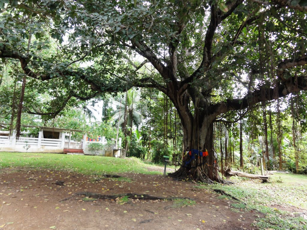 Kalapaluwawa, Sri Lanka by Senanayaka Bandara