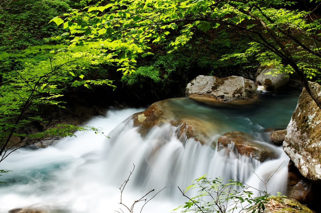 西沢渓谷 / Nishizawa ravine by shinohal