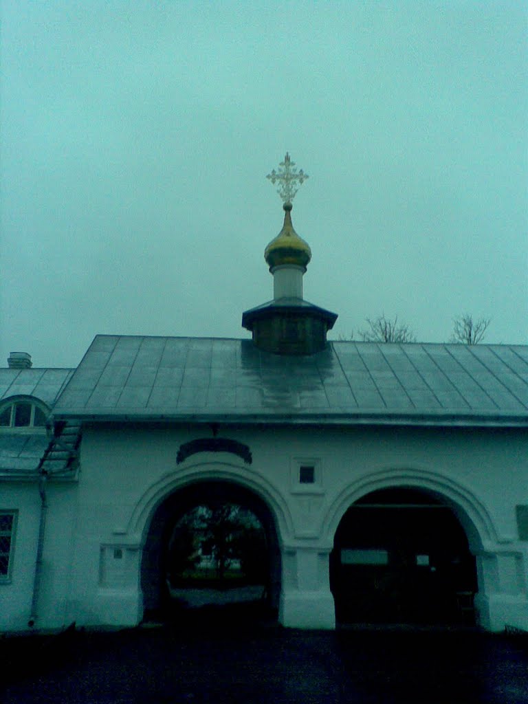 Pskov, Pskov Oblast, Russia by light1605