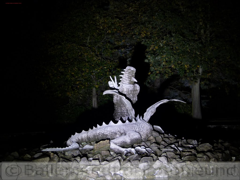 Nachts im Schloßpark/Drache by rumpel1950