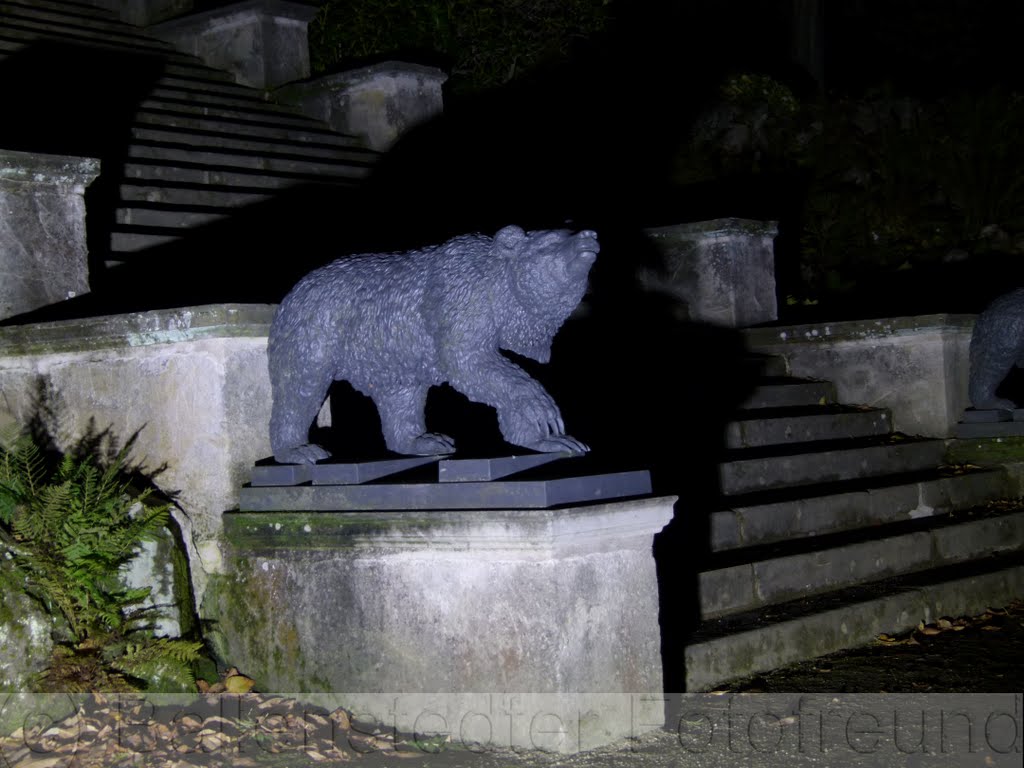 Nachts im Scloßpark/Bär by rumpel1950