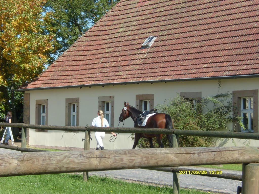 Reithalle beim Schloss-Fasanerie... by evchen645