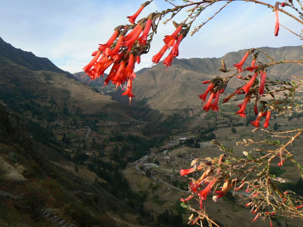 Vallée sacrée des Incas à Pisac by Var Decouverte