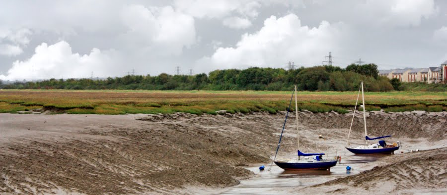 High and dry by les watson