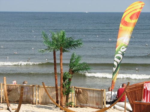 Palm Trees on the beach (Palma na plaży) (2007) by LocDog