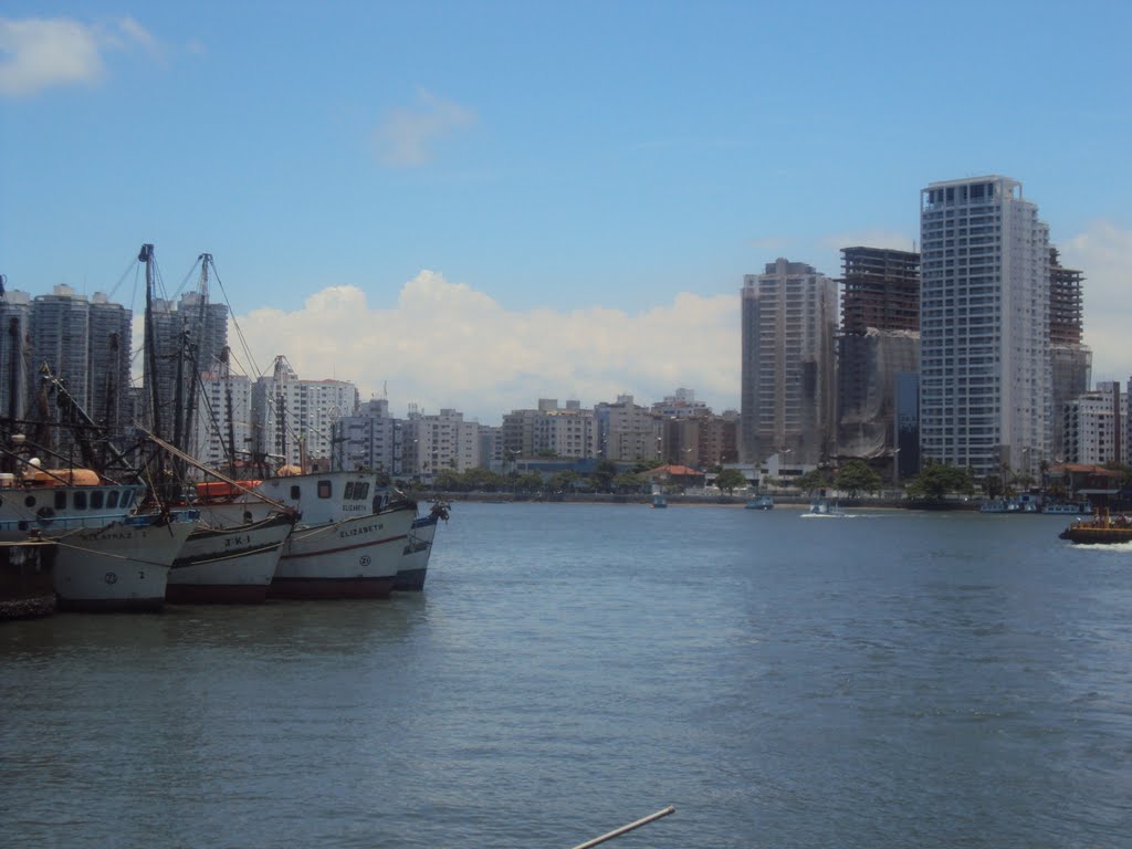 Estuario de Santos by Ronaldo Pedro