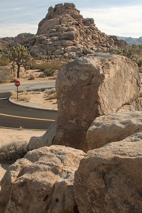 Joshua Tree 2 by Pictographer