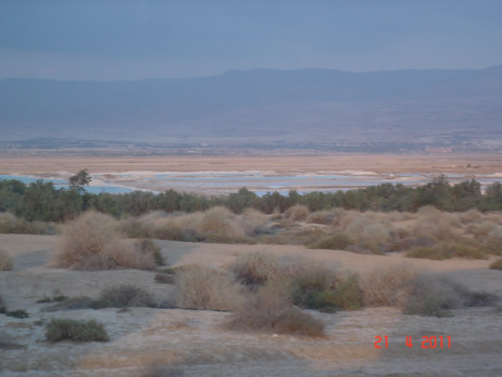 Mar Morto (Dead Sea), Israel 009 by Ricardo de Carvalho …