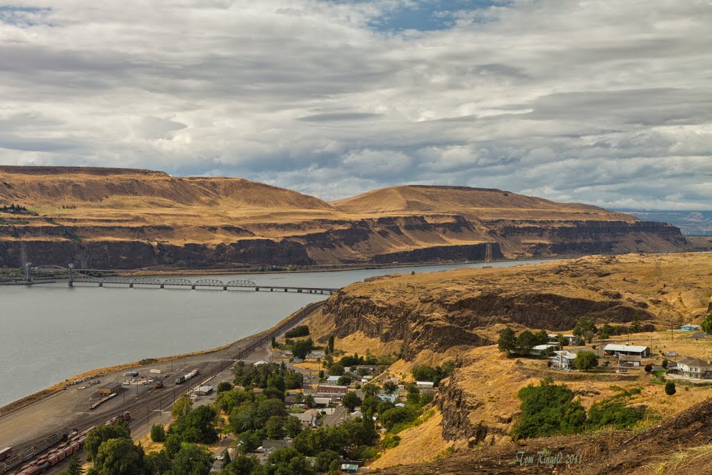 Celilo Railroad Bridge from the Wishram overlook on highway 14 by Tom D Ringold