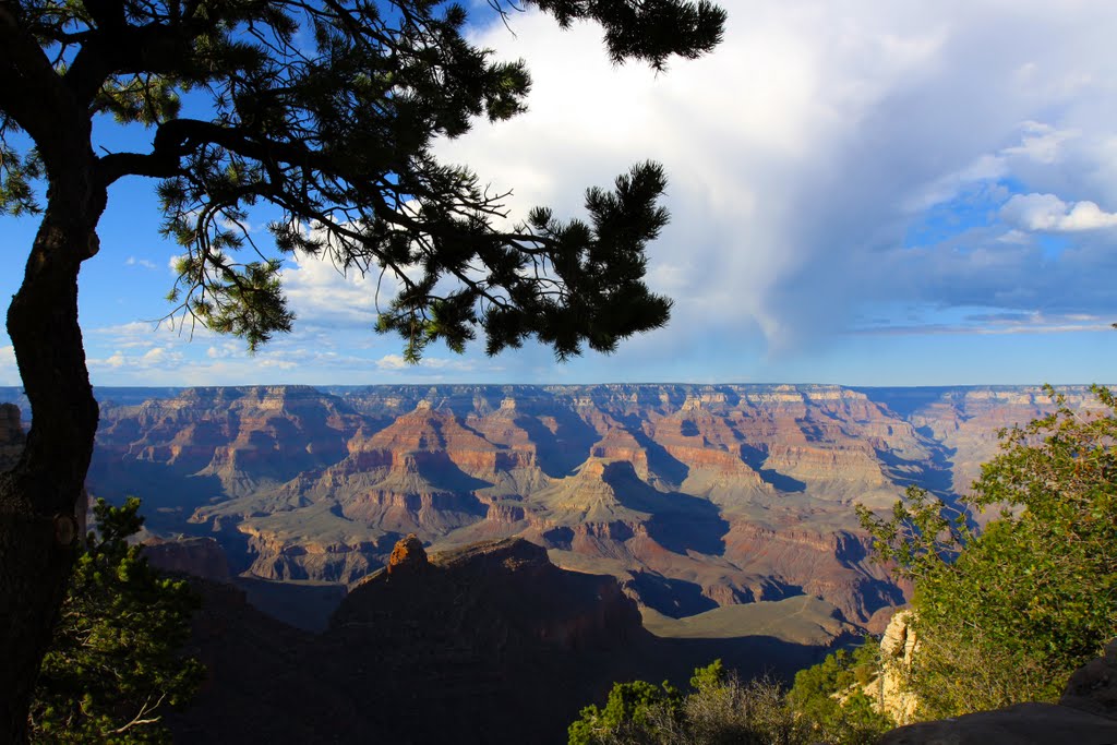 South Rim, Grand Canyon National Park, Arizona by Richard Ryer