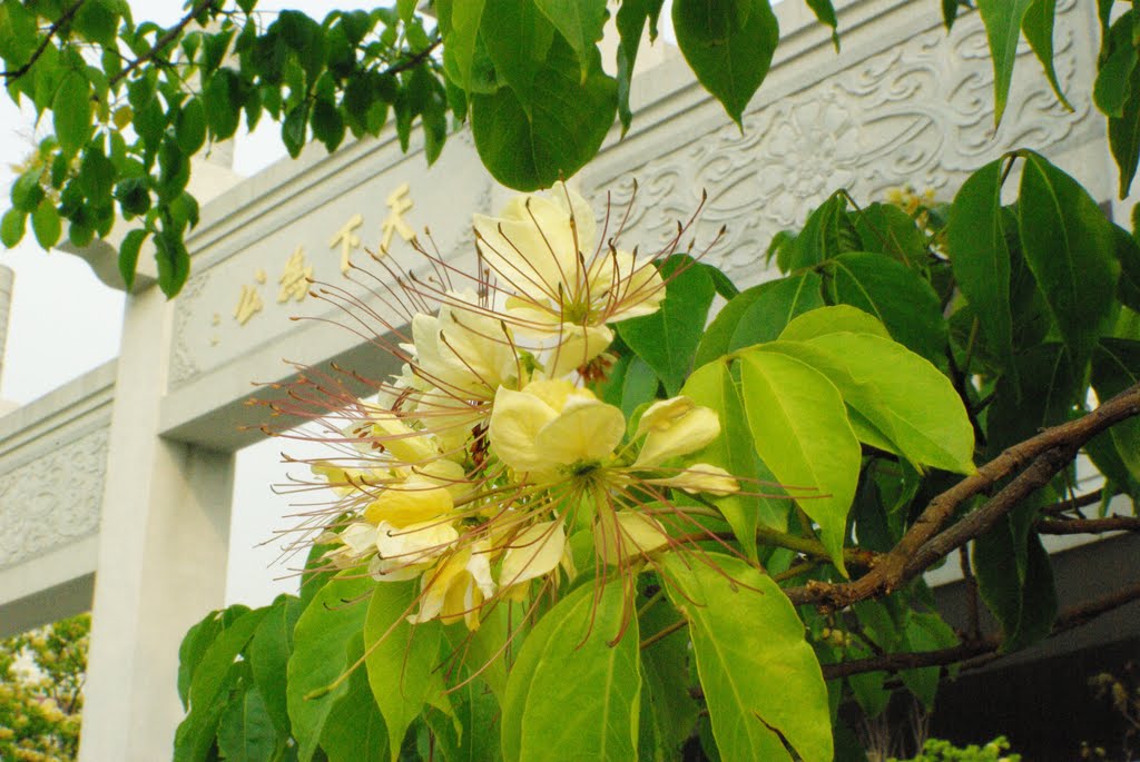 Sun Yat Sen Memorial Park - The Pai Lau 中山紀念公園牌樓 by Suzanna Chan