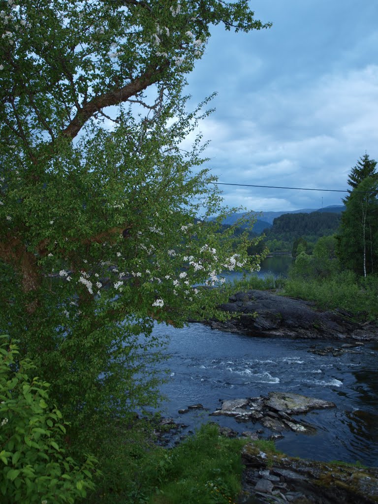 Stroka, part of the river Flekke & Guddal by asgeir hope