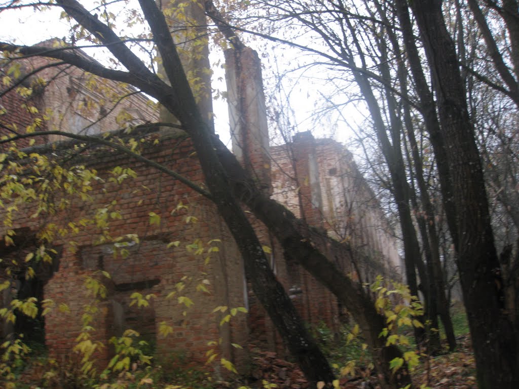 Ferzikovo, Kaluzhskaya oblast', Russia, 249800 by Tragisk