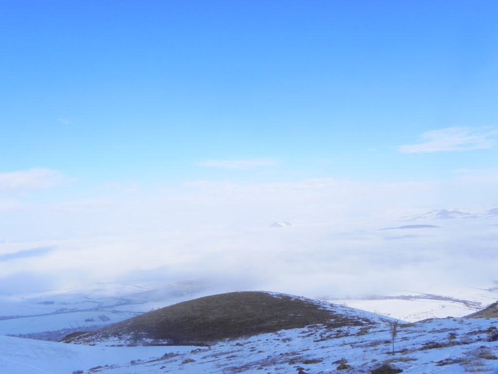 On top of cloud by vahid -sarhadi