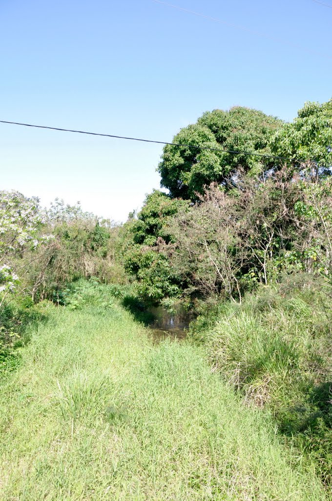 CREEK SUR LA ROUTE DE OUANO by m.claude