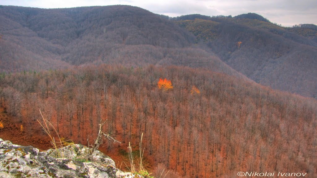 Gabrovo, Bulgaria by Nikolai Ivanov