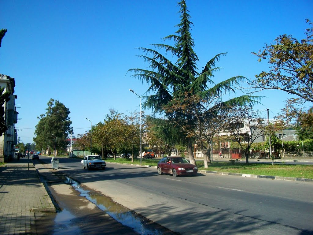 Bagrationi street, Batumi by Pogromca Gašnič