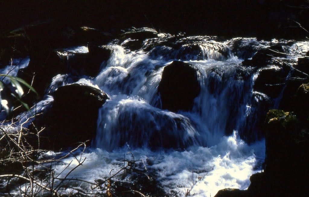 Combe Park Water, near Watersmeet, north Devon by Andrew-k