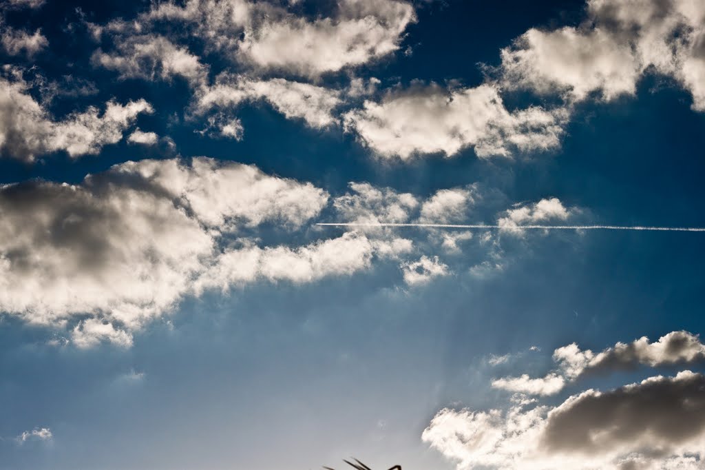 Céu Ermida Dom Bosco, Brasília - DF by Guilherme Bays