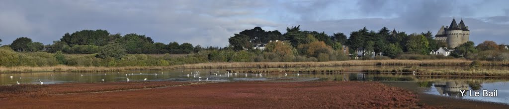 Marais et Château de Suscinio by Yves Le Bail